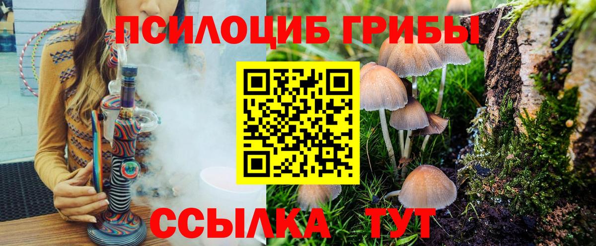 Псилоцибиновые грибы Magic Shrooms Шадринск